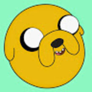 Meet your Posher, Rylee